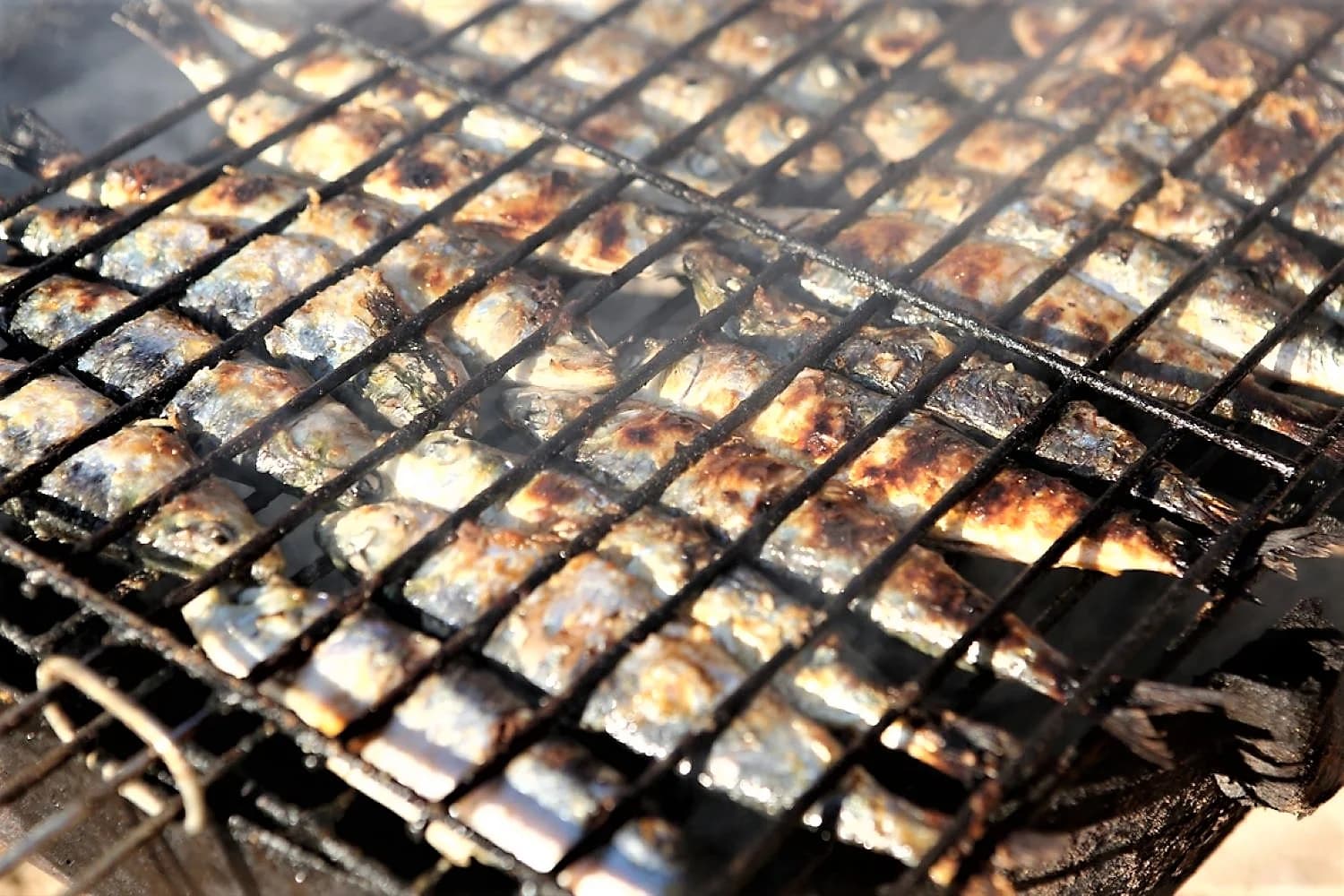 Charcoal grilled fish